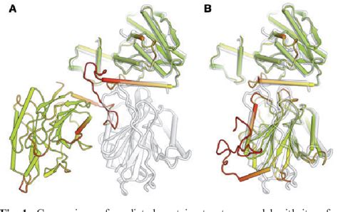 lddt protein model